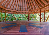 Thumbnail 11 of 12 - Affinitee at Pine Lake apartment a yoga room with yoga mats on the floor and trees in the background